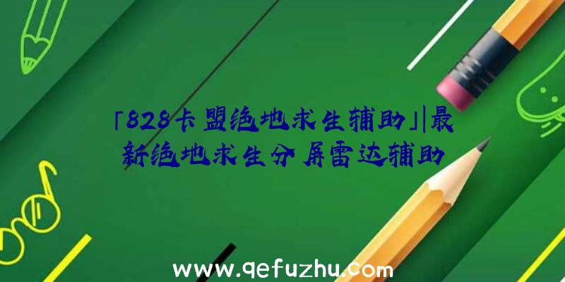 「828卡盟绝地求生辅助」|最新绝地求生分屏雷达辅助